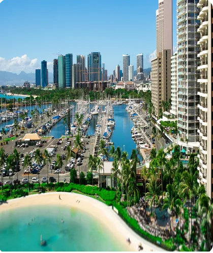 A waterfront skyline with a marina lined with palm trees.